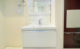 シャンプードレッサー