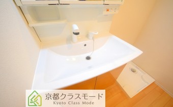 シャンプードレッサー