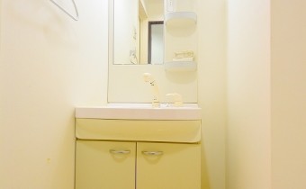 シャンプードレッサー