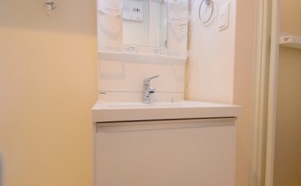 シャンプードレッサー