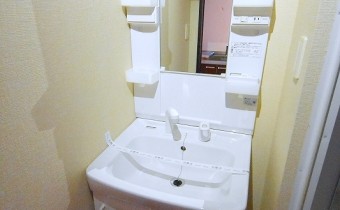 シャンプードレッサー