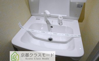 シャンプードレッサー
