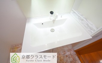 シャンプードレッサー