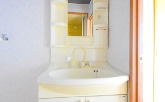 シャンプードレッサー