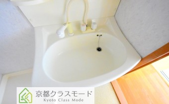 シャンプードレッサー