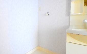 室内洗濯機置場