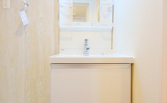 シャンプードレッサー