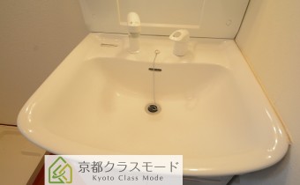 シャンプードレッサー　