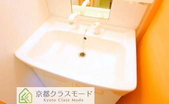シャンプードレッサー