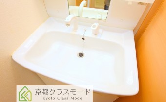 シャンプードレッサー
