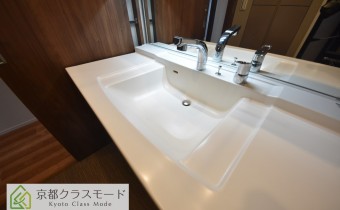 シャンプードレッサー