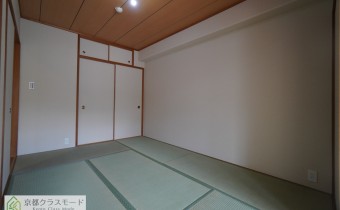 和6
