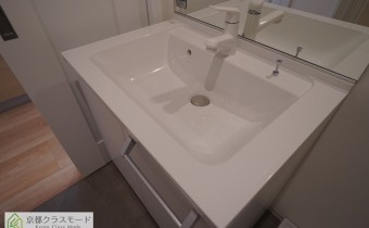 シャンプードレッサー