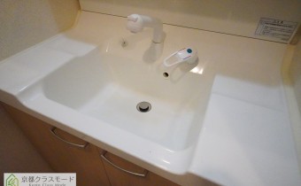 シャンプードレッサー