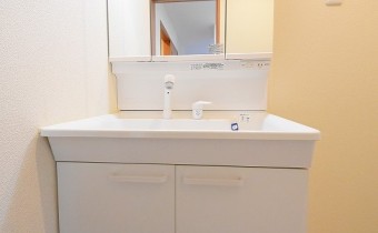 シャンプードレッサー