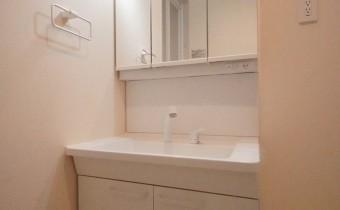 シャンプードレッサー