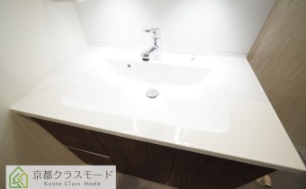 シャンプードレッサー
