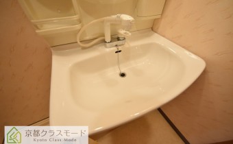 シャンプードレッサー