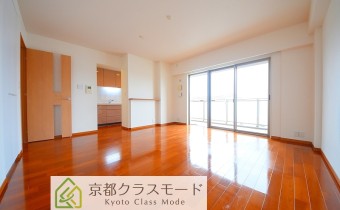 南向きで陽当たり良好のリビングです♪