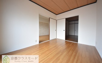 洋6