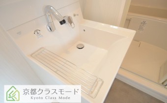 シャンプードレッサー