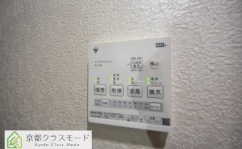 シャンプードレッサー